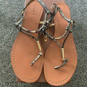 Coach Cicily Snake Sandal